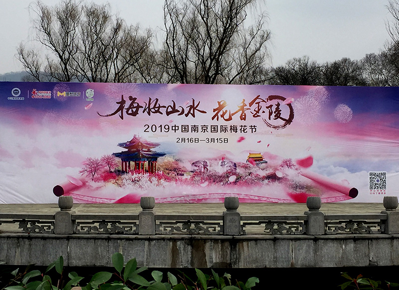 “金猪贺新岁·美石靓宝山”雨花石精品展在南京梅花山开幕